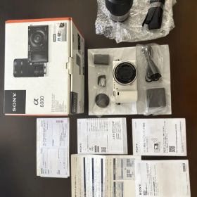 SONY ソニー α6000 ILCE-a6000Y/W