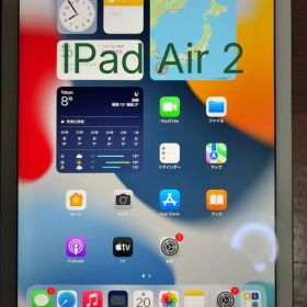 Apple iPad Air 2 ゴールド タブレット 本体