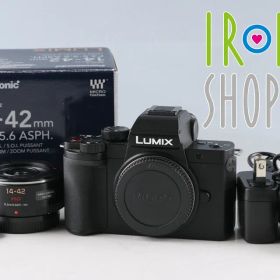Panasonic LUMIX DC-G100 + G X Vario PZ 14-42mm F3.5-5.6 ASPH. Power O.I.S. #63417D10