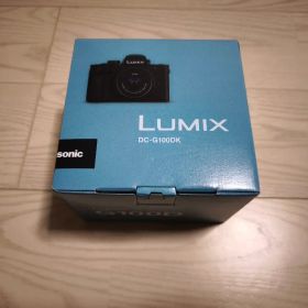 Panasonic LUMIX DC-G100DK