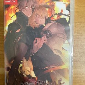 終遠のヴィルシュ ErroR:salvation 終ヴィル