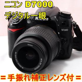 〓手振れ補正レンズ付〓ニコン Nikon D7000 デジタル一眼
