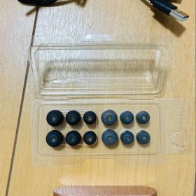 SONY ワイヤレスイヤホン WF-1000XM3