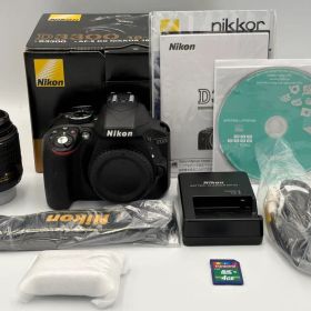 超美品 Nikon D3300 レンズキット SDカード付 低シャッター