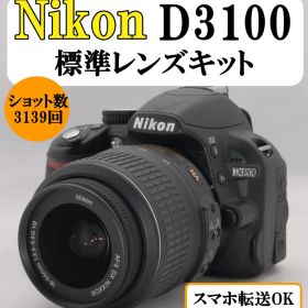【低ショット美品】Nikon D3100 一眼レフ カメラ 桜 撮影 入学式