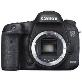 中古 １年保証 新品級 Canon EOS 7D Mark II ボディ