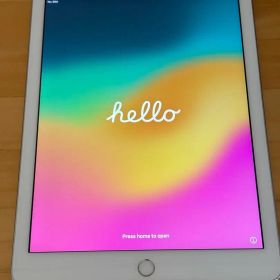 iPad 第6世代 9.7インチ A1954 Cellular 本体 32GB