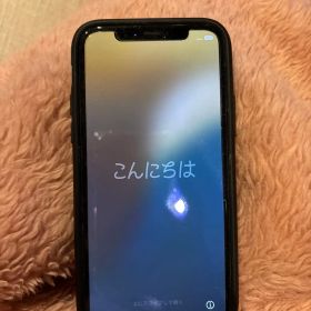 Apple iPhone 11 Pro 256GBスペースグレー 本体とケース