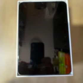 美品 iPad mini 第6世代 256GB Wi-Fi 純正カバーおまけ