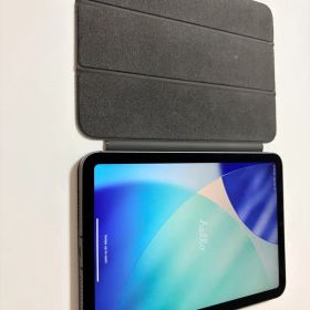iPadmini6 256GB wi-fi + Cellular カバー付