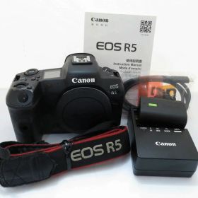キヤノン Canon ミラーレス一眼 EOS R5 【中古】