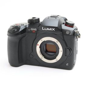 《良品》Panasonic LUMIX DC-GH5S ボディ