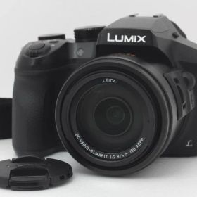 パナソニック Panasonic LUMIX DMC-FZ300 #377