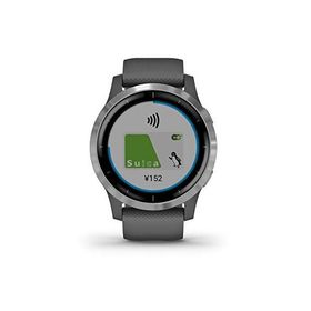 GARMIN vivoactive 4 Shadow Gray/Silver 010-02174-07