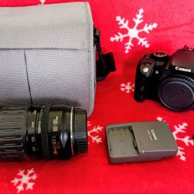 ラスト！キャノンEOS Kiss Digital N 望遠レンズセット