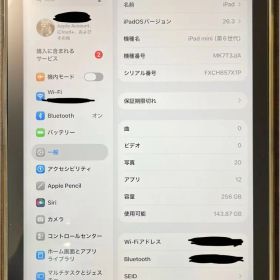 Apple iPad mini (第6世代) 256GB バッテリー100%