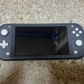 Nintendo Switch ライト グレー
