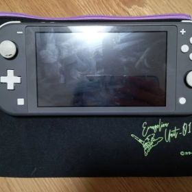 Nintendo Switch Lite グレー