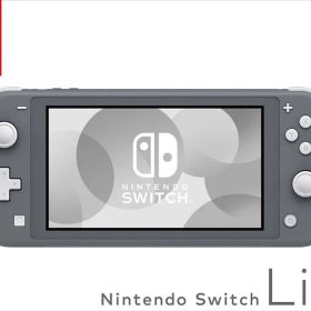 極美品 Nintendo Switch Lite グレー