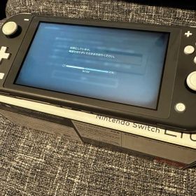 Nintendo Switch Lite グレー 本体