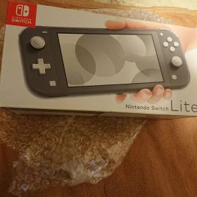 Nintendo Switch Lite グレー 本体 ／極美品