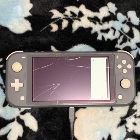 【ジャンク】Nintendo Switch Lite グレー 画面ひびあり