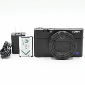 SONY ソニー Cyber-shot DSC-RX100M6 コンパクトデジタルカメラ (ショット数)(35言語)