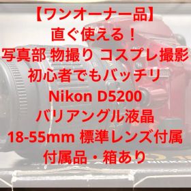 Nikon D5200 赤色 AF-S DX NIKKOR 18-55mm
