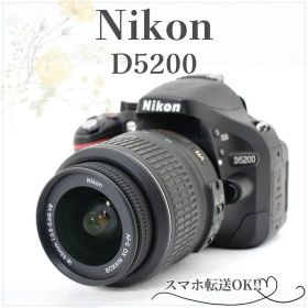 しっかり捉える高性能AF×高画質✨Nikon D5200✨手ブレ補正 標準レンズ