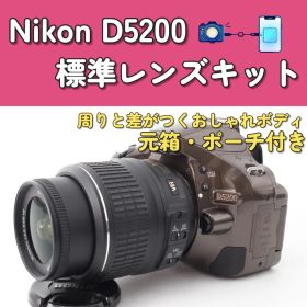 Nikon D5200 標準レンズキット 元箱付き オシャレ色 一眼レフカメラ