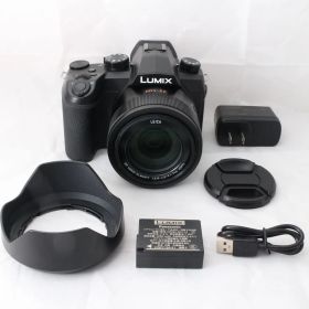 ☆美品・ショット数3090☆ Panasonic LUMIX FZ1000 II パナソニック デジタルカメラ ルミックス 1.0型センサー搭載 光学16倍ズーム 4K動画対応 DC-FZ1000M2 ブラック #4794
