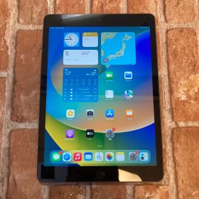 iPad A2197 第7世代 32GB wifi 動作確認済MW742J/A