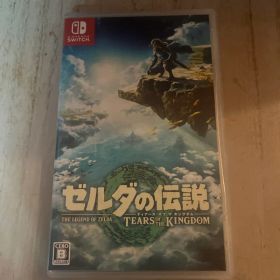 ご*う様 ゼルダの伝説 ティアーズ オブ ザ キングダム