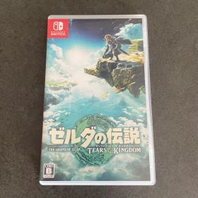 ゼルダの伝説 ティアーズ オブ ザ キングダム Nintendo Switch