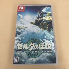 460.ゼルダの伝説 ティアーズ オブ ザ キングダム