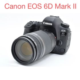キヤノン(Canon)のデジタル一眼レフカメラCanon EOS 6D Mark II 望遠レンズセット(デジタル一眼)