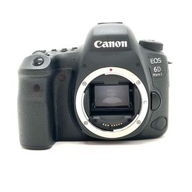 キヤノン(Canon)の【全額返金保証】【最速発送】Canon デジタル一眼 EOS 6D Mark II ボディ 美品 動作確認済(デジタル一眼)
