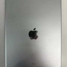iPad 第5世代 128GB Wi-Fi+Cellularモデル A1823
