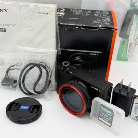 【極上美品】SONY CyberShot RX100V(DSC-RX100M5A) 豪華オマケ付 ソニー サイバーショット