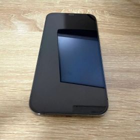 iPhone12 Pro Max 本体