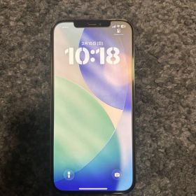 Apple iPhone12 Pro max 256Gグラファイト自撮カメラ故障