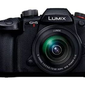 ★Panasonic / パナソニック LUMIX DC-GH5M2M 標準ズームレンズキット【デジタル一眼カメラ】【送料無料】
