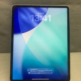美品 iPad Pro 12.9 インチ 第5世代 1TB Cellular版