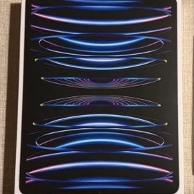 iPad Pro 12.9 第6世代256GB