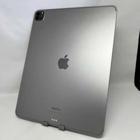 docomo 【SIMロックなし】MP203J/A iPad Pro Wi-Fi + Cellular 256GB スペｰスグレイ docomo