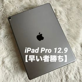 【訳あり品】iPad Pro 12.9 256GB 【すぐ発送】【付属品】