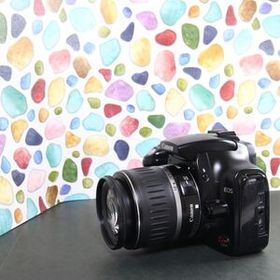 【N】 ◇おすすめ♪ 大人気一眼レフ♪ ◇Canon EOS KISS digital