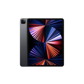 美品 国内版 SIMフリー iPad Pro 12.9 インチ 第5世代 1TB Wi-Fi +Cellular版 スペースグレイ色