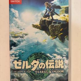 ゼルダの伝説 ティアーズ オブ ザ キングダム