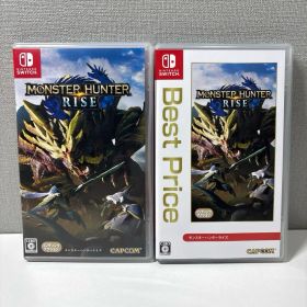 Nintendo Switch モンスターハンターライズ 2個セット
